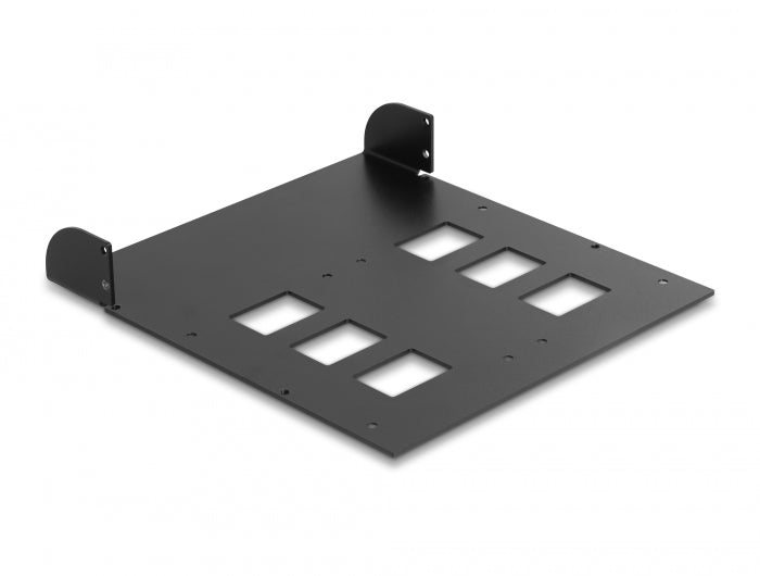 Delock 5.25″ Metal Installation Frame for 2 x Delock Mobile Rack 47019 / 47005 - delock.israel