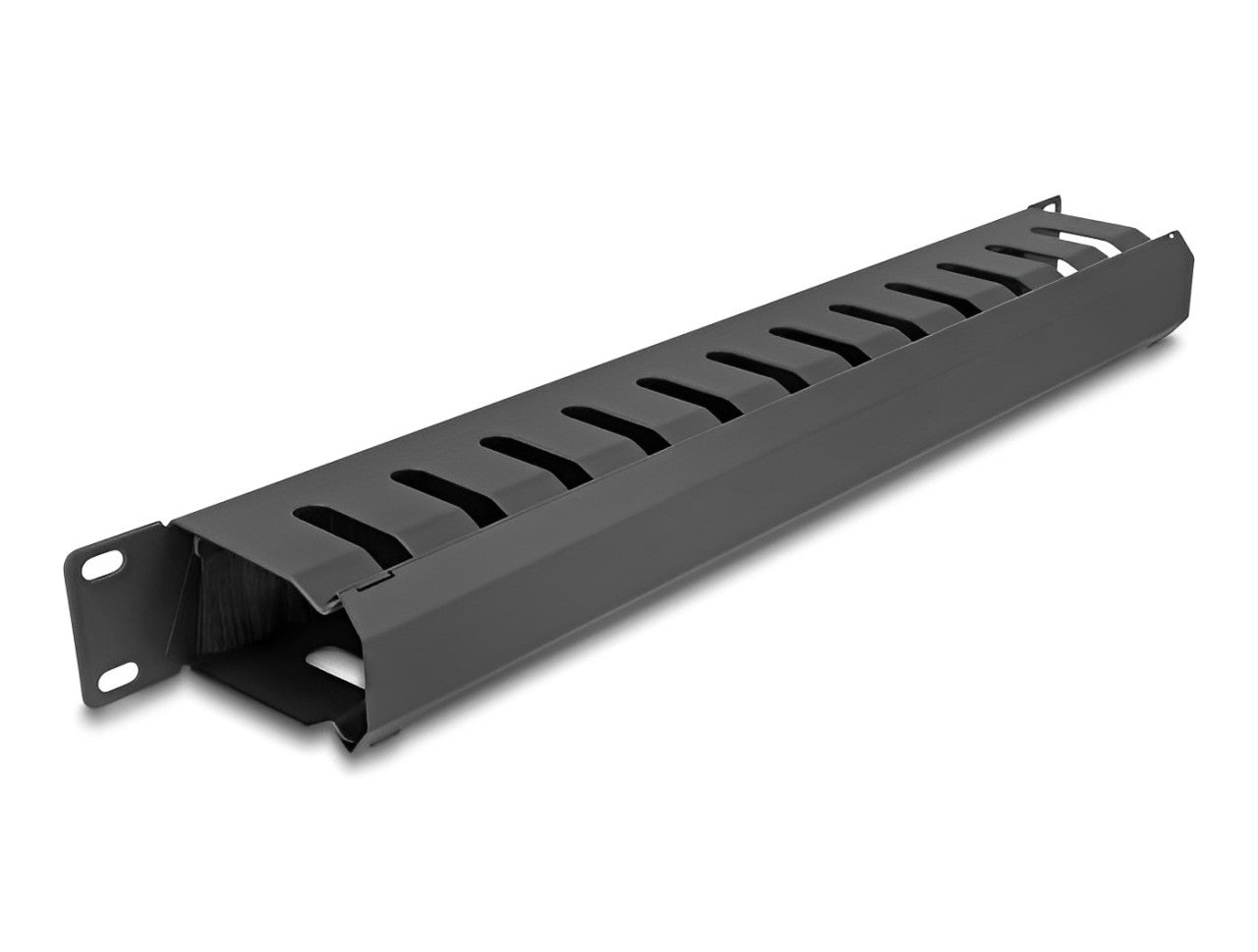Delock 19″ Cable Management Routing Panel with brush and 2 openings 1U black - delock.israel