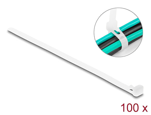 Delock Cable ties reusable 100 pieces white - delock.israel