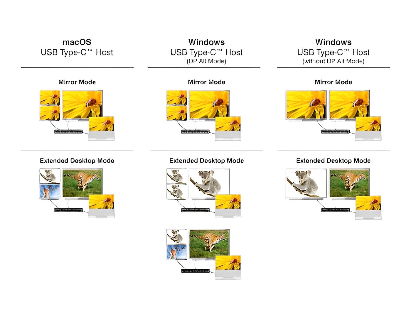 תחנת עגינה ®USB-C 4K Triple Display DisplayLink למחשב נייד עם חיבור ל- 3 מסכים בו זמנית דגם D88050 - delock.israel