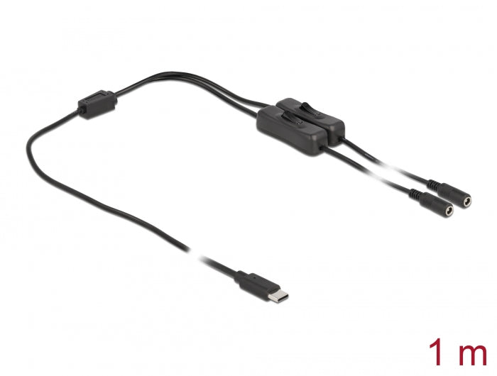 כבל חשמל תקע USB-C ל- 2 שקעים DC 5.5x2.1 + מפסקים אורך 1 מטר - delock.israel