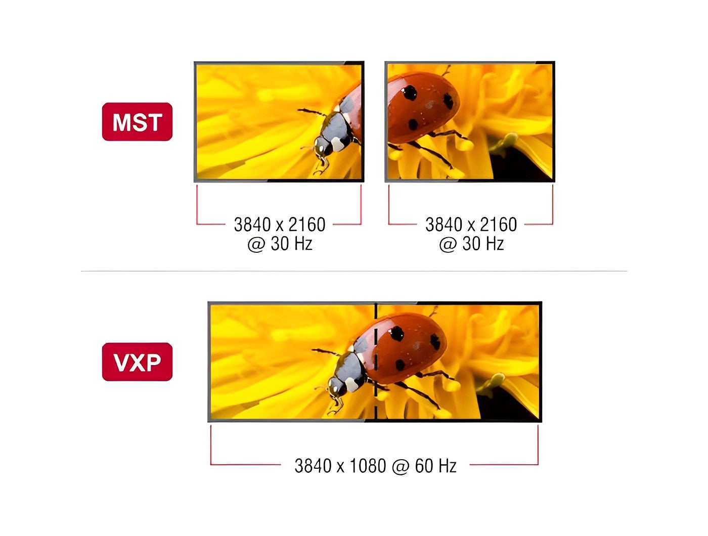 ספליטר USB-C 4K ל- 2 מסכים DisplayPort MST / VXP תומך HDR - delock.israel