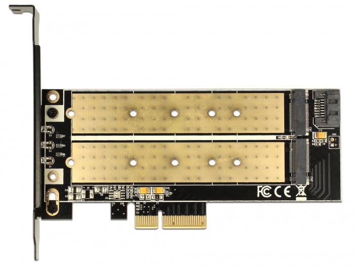 כרטיס PCI-E x4 V4.0 Low Profile עבור 2 כוננים M.2 NVMe / M.2 SATA - delock.israel
