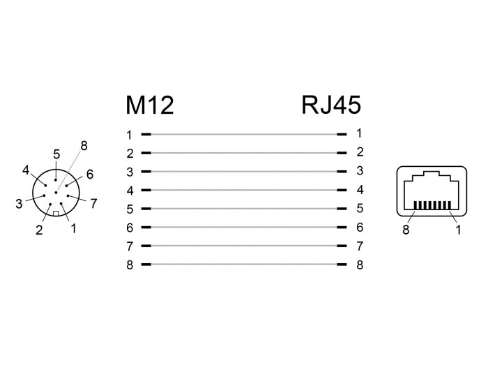 מתאם M12 Cat.6A PUR (TPU) שקע 8pin A-coded לשקע RJ45 - delock.israel