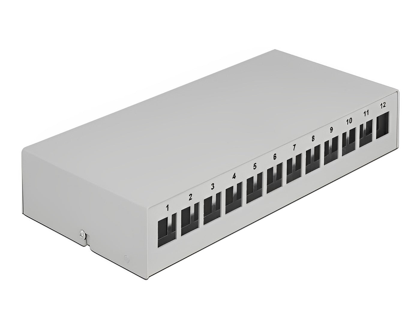 פאץ' פאנל 12 פורט ללא קיסטונים DIN rail mounting - delock.israel