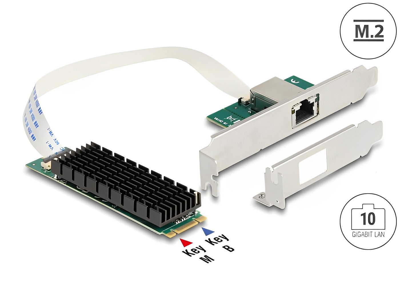 כרטיס רשת קווי M.2 Key B+M 10Gigabit LAN Low profile עם יציאת RJ45 צ'יפ Aquantia - delock.israel