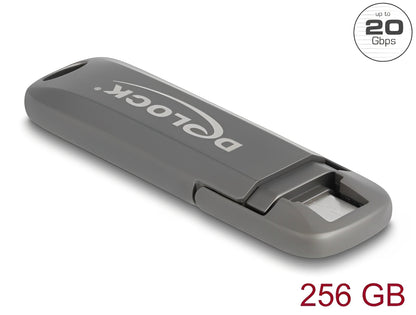 זיכרון נייד USB-C מבית Delock גרמניה מיועד לאחסון והעברת נתונים ומציע מהירויות קריאה יוצאות דופן של 1980MB/s ונפח אחסון גדול של 256GB