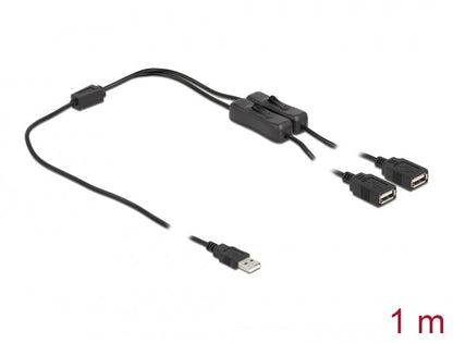 כבל חשמל תקע USB-A ל- 2 שקעים USB-A + מפסקים אורך 1 מטר - delock.israel