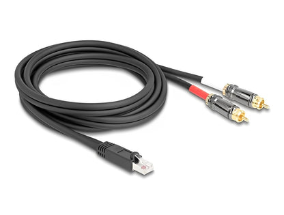 Delock Adapter Cable RJ45 plug to 2 x RCA male black 2 m - delock.israel