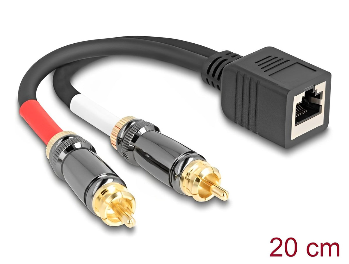 Delock RJ45 2 RCA 20 delock-rj45-2-rca-20