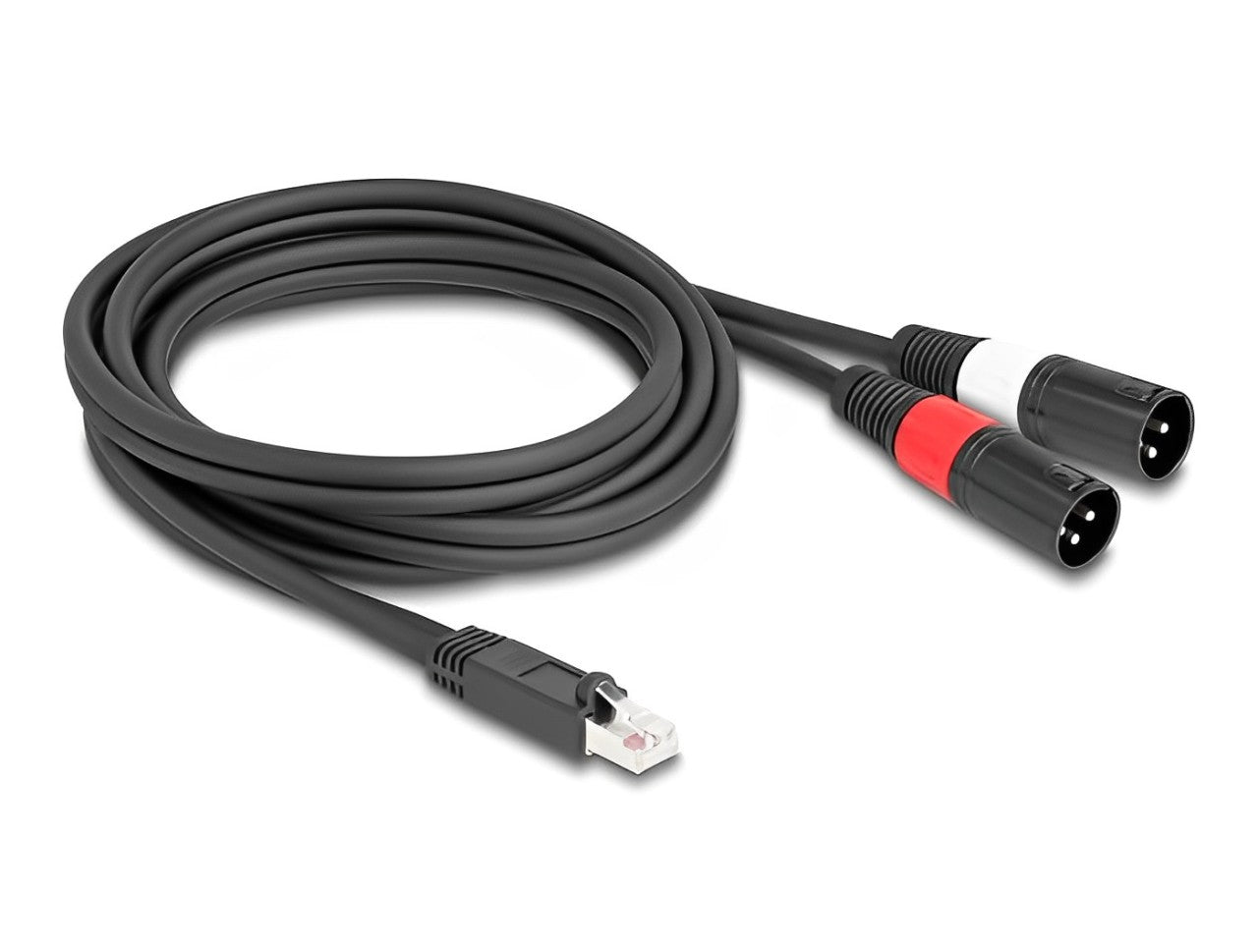 Delock Adapter Cable RJ45 plug to 2 x XLR 3 pin plug black 2 m - delock.israel