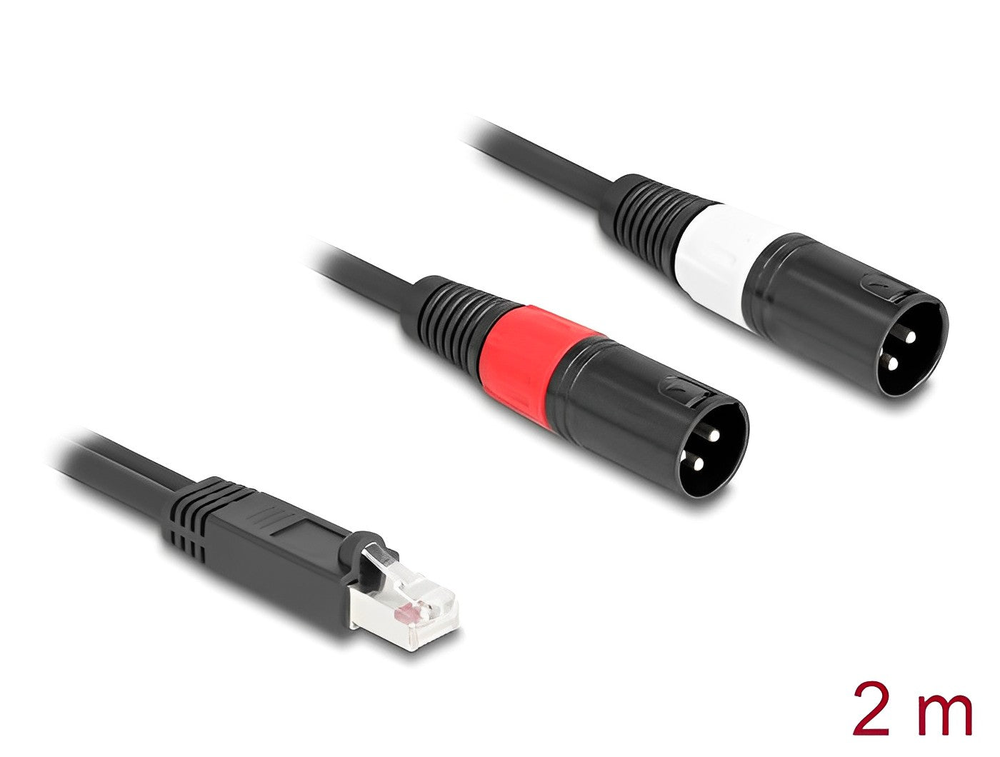 Delock Adapter Cable RJ45 plug to 2 x XLR 3 pin plug black 2 m - delock.israel