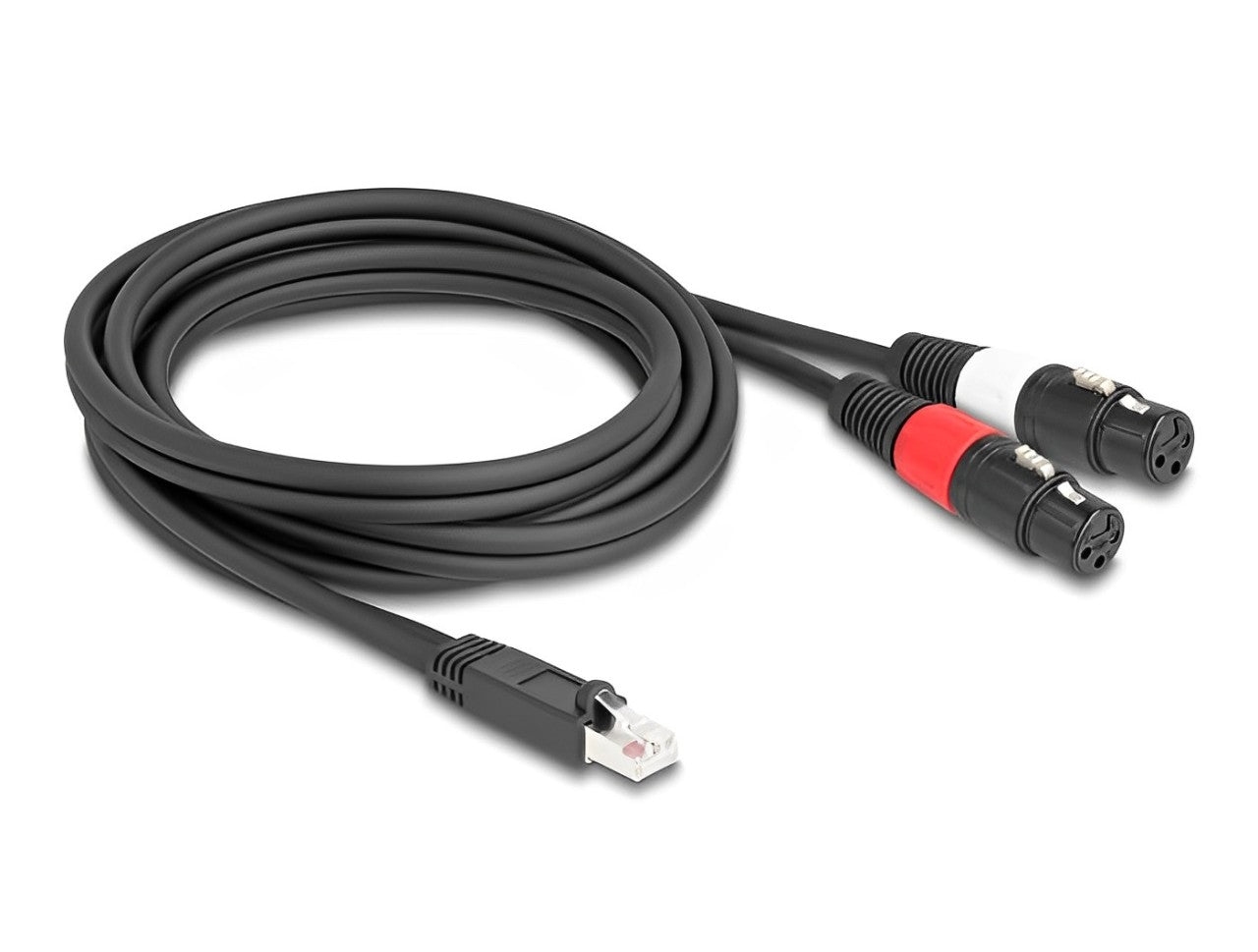 Delock Adapter Cable RJ45 plug to 2 x XLR 3 pin jack black 2 m - delock.israel