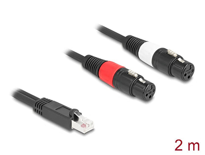 Delock Adapter Cable RJ45 plug to 2 x XLR 3 pin jack black 2 m - delock.israel