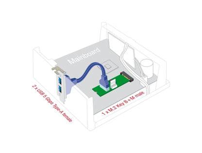 Delock Converter M.2 Key B+M male to 2 x USB 5 Gbps Type-A female with 50 cm cable - delock.israel