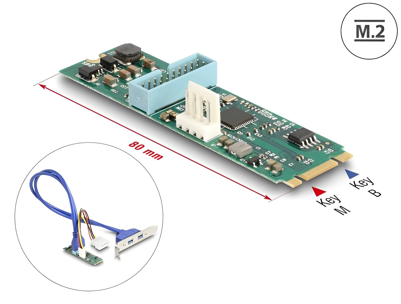 Delock Converter M.2 Key B+M male to 2 x USB 5 Gbps Type-A female with 50 cm cable - delock.israel