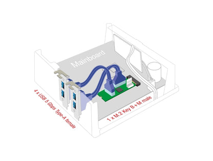 Delock Converter M.2 Key B+M male to 4 x USB 5 Gbps Type-A female with 50 cm cable - delock.israel