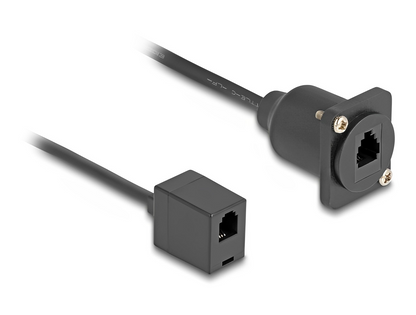 כבל טלפון RJ10 נ/נ להתקנה בפאנל מסדרה D אורך 30 ס"מ - delock.israel