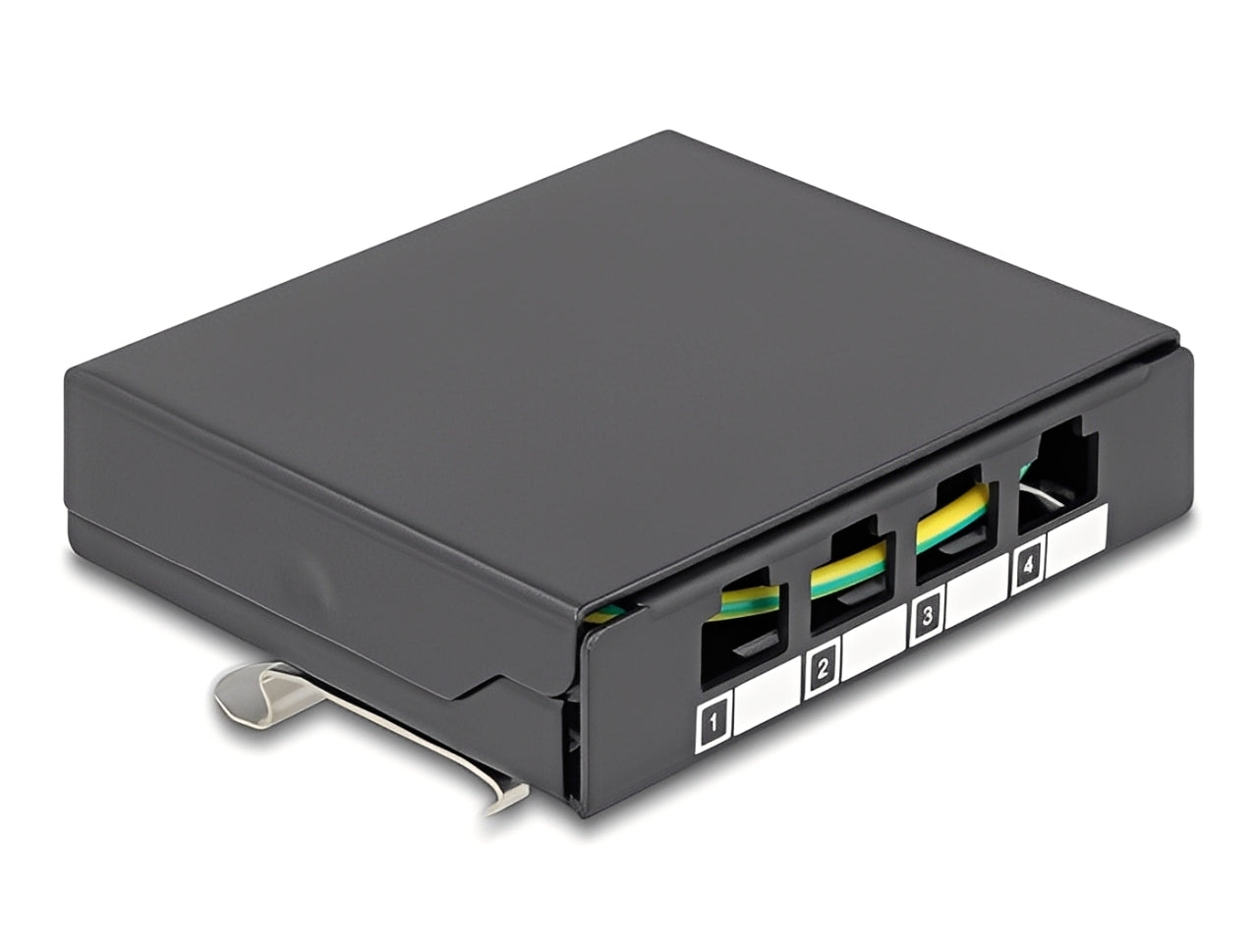 פאץ' פאנל ריק מבית Delock גרמניה מתאים להתקנת מודולי Keystone RJ45 בדרך קלה