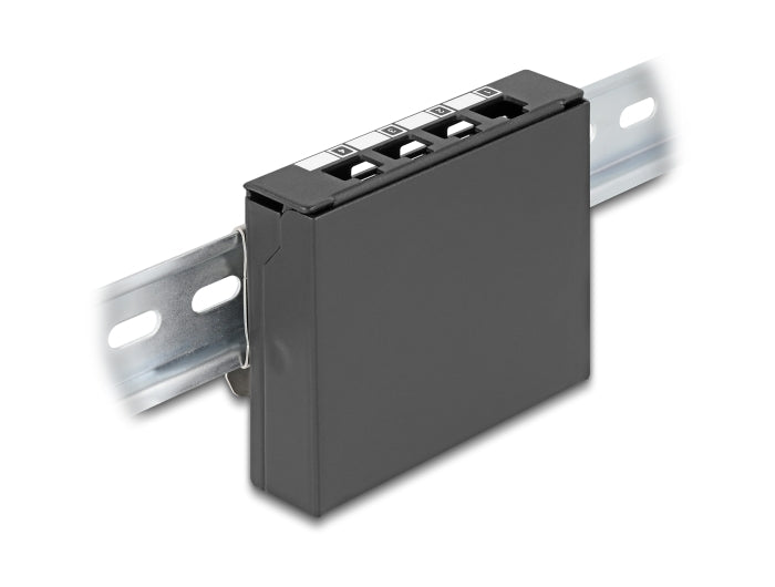 פאץ' פאנל ריק מבית Delock גרמניה מתאים להתקנת מודולי Keystone RJ45 בדרך קלה