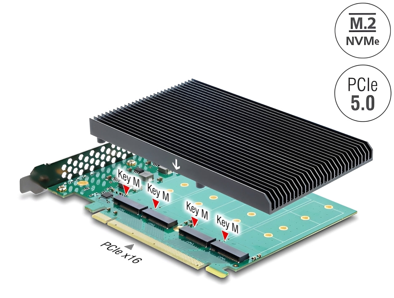 כרטיס PCI Express 5.0 x16 מבית Delock גרמניה