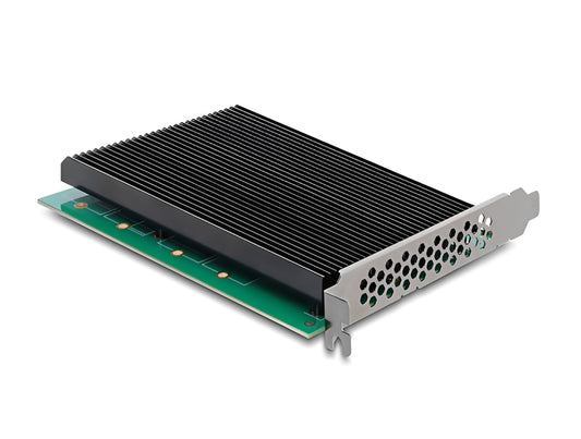 כרטיס PCI Express 5.0 x16 מבית Delock גרמניה