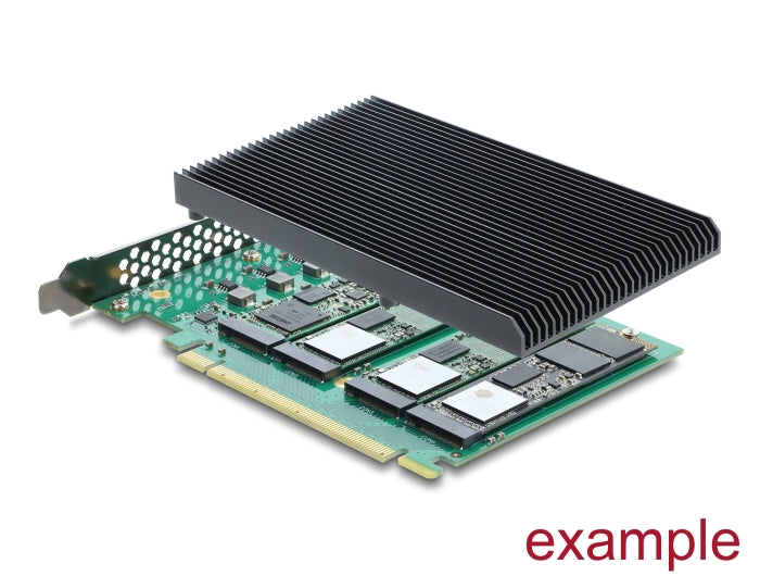 כרטיס PCI Express 5.0 x16 מבית Delock גרמניה
