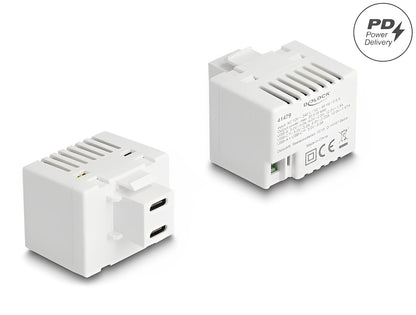 Delock Keystone Module with 2 x USB Type-C™ Charging Port PD 20 W white - delock.israel