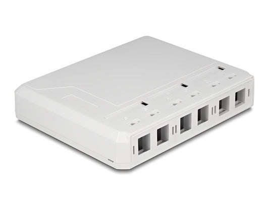 Delock Keystone Surface Mounted Box 6 Port for fiber optic and network white - delock.israel