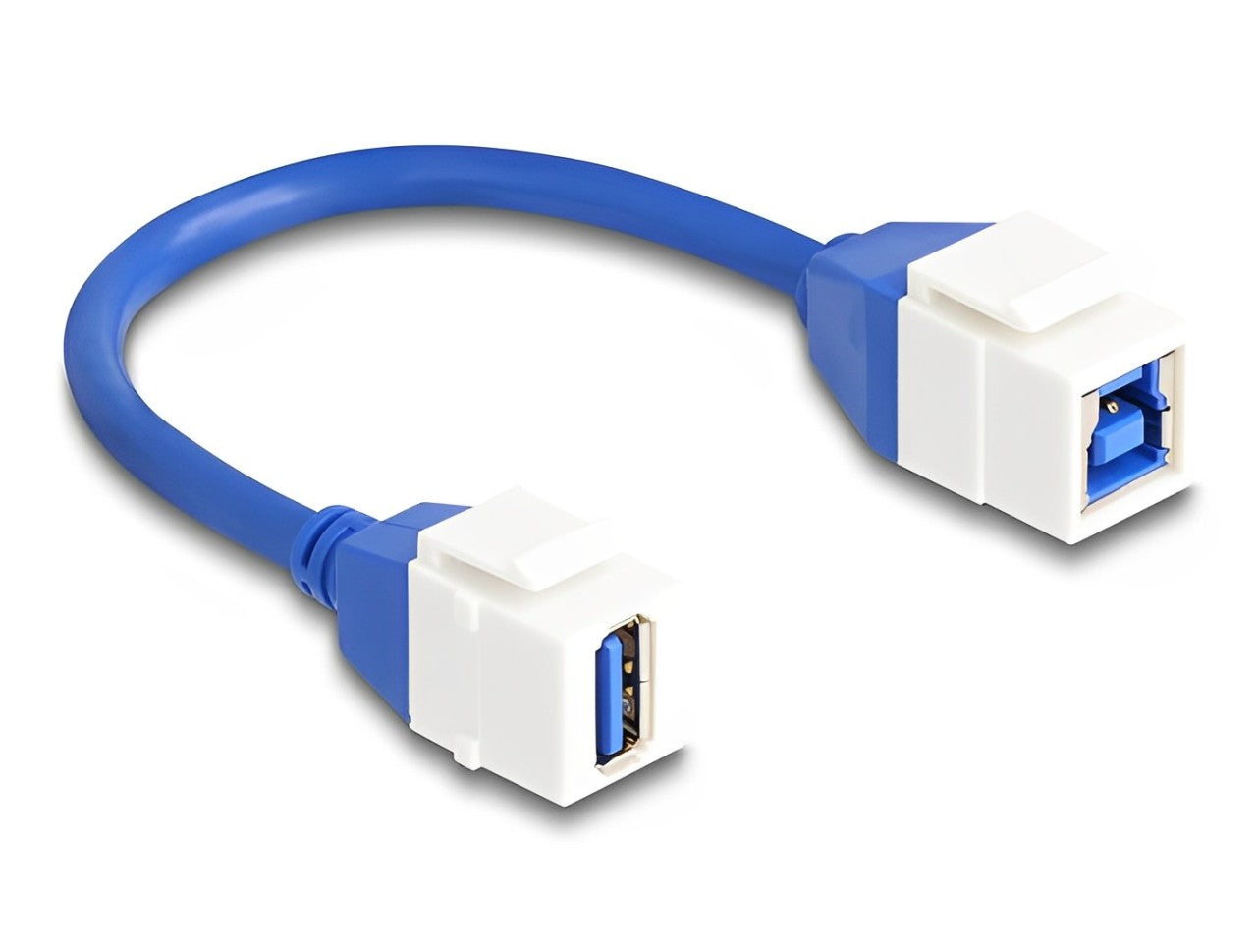 Delock Keystone Module Cable USB 5 Gbps Type-A female to USB Type-B female 20 cm blue - delock.israel