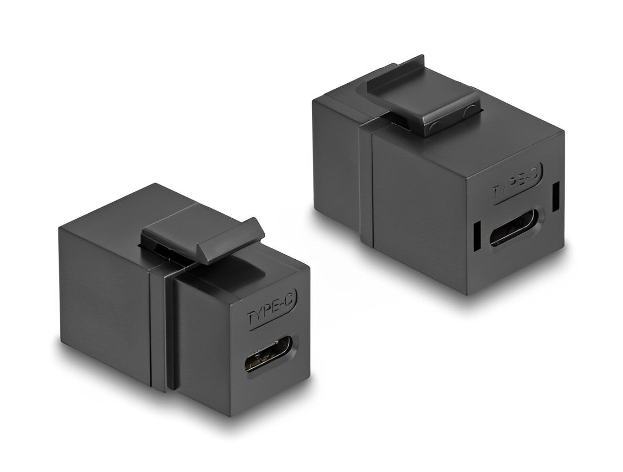 Delock Keystone Module USB 2.0 Type-C™ female to female black - delock.israel