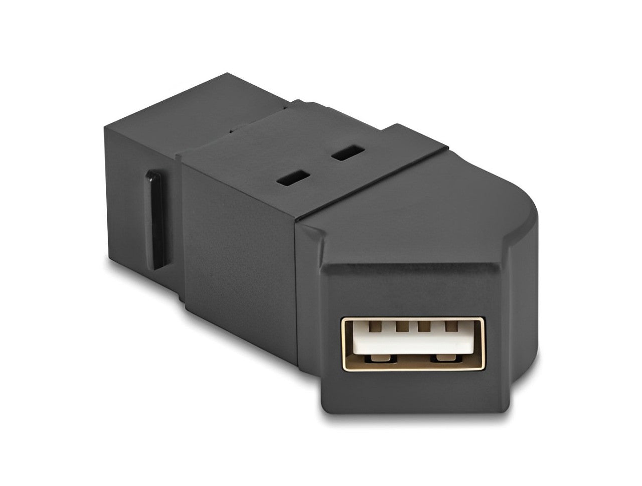 Delock Keystone Module USB 2.0 Type-A panel mount female to Type-A female 45° angled black - delock.israel