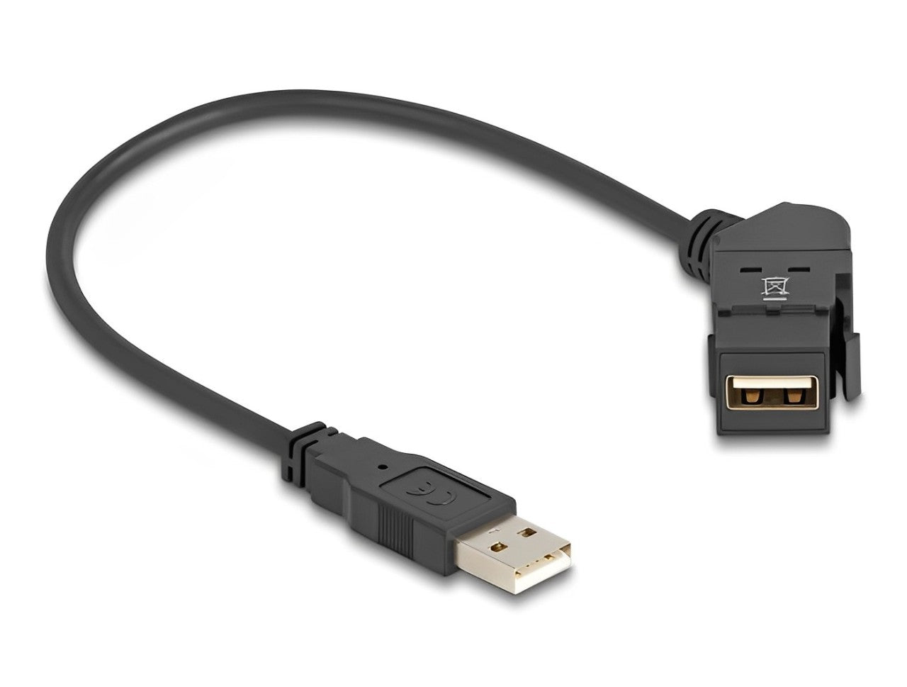 Delock Keystone Module USB 2.0 Type-A panel mount female 45° angled to Type-A male with 30 cm cable black - delock.israel