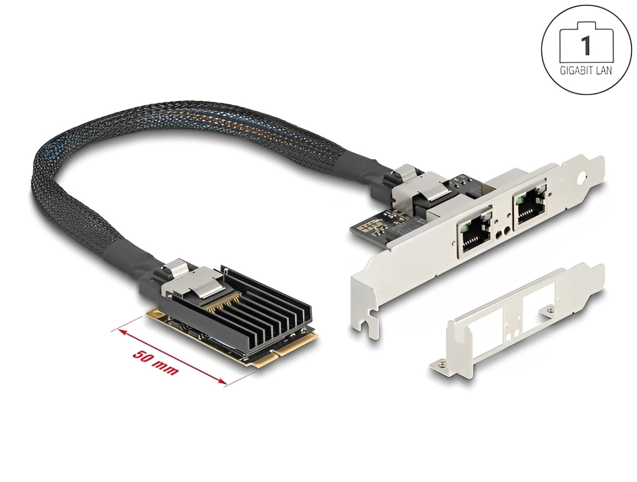 כרטיס ה-Mini PCIe מבית Delock גרמניה מציע שני יציאות רשת RJ45 עם קצב העברת נתונים של עד 1Gbps באמצעות כבלי נחושת סטנדרטיים מסוג Cat.6