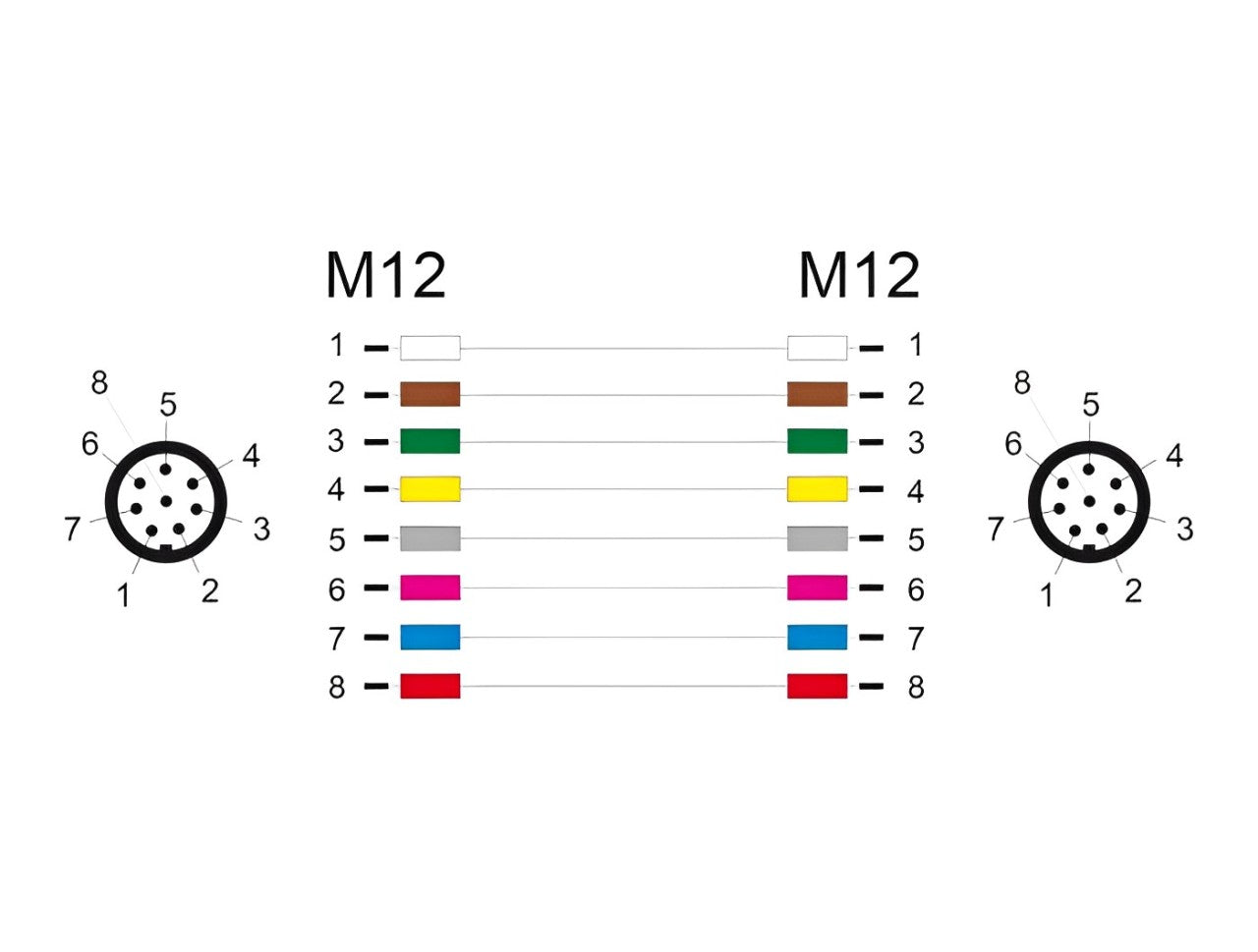 Delock M12 Cable A-coded 8 pin male to male PVC - delock.israel