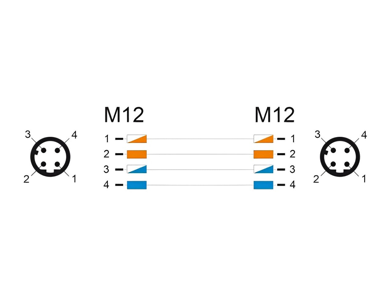 Delock M12 Cable D-coded 4 pin male to male PVC - delock.israel