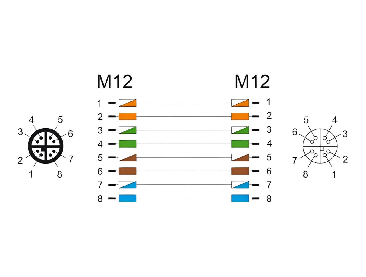 Delock M12 Cable X-coded 8 pin male to female PVC - delock.israel