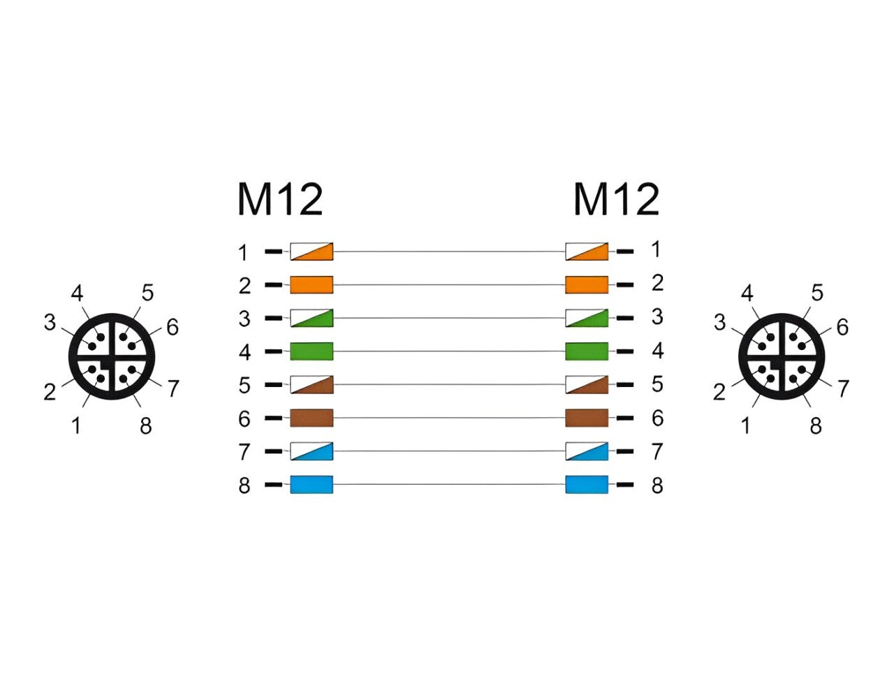 Delock M12 Cable X-coded 8 pin male to male PVC - delock.israel
