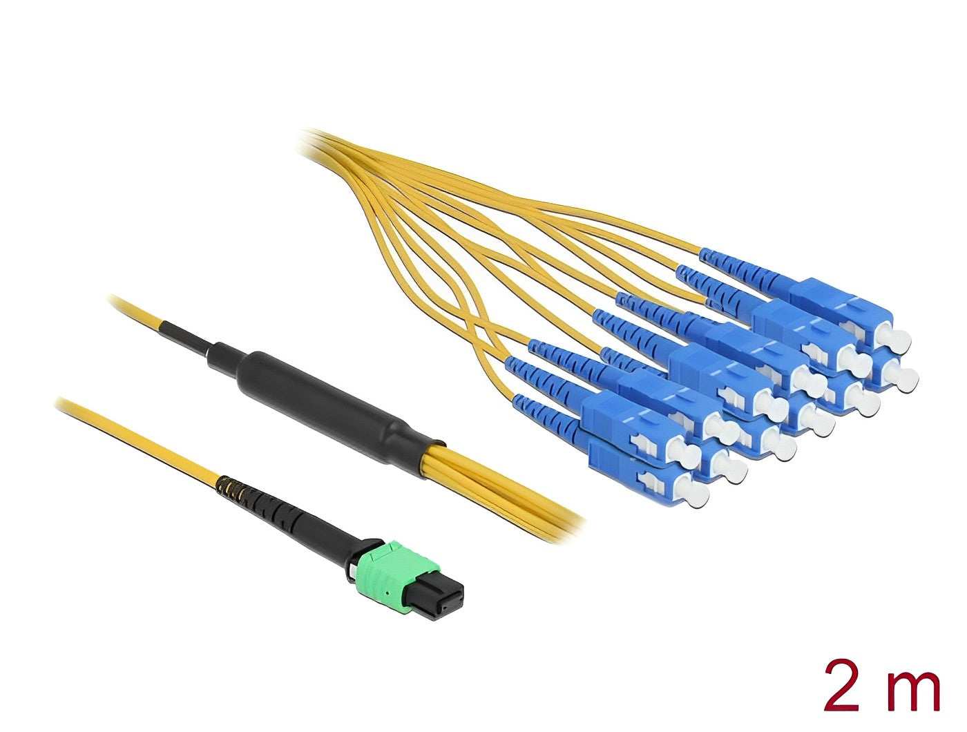 Delock Optical Fiber Cable MPO female to 12 x SC Simplex male, Single-mode, 9/125 µm, 2 m -delock.israel