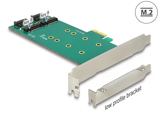 כרטיס PCI-E x1 Low Profile עבור 2 כוננים M.2 SATA Key B 110mm - delock.israel