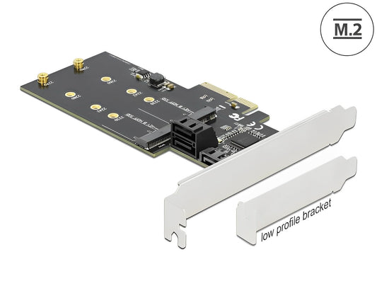 כרטיס PCI-E x4 Low Profile עבור כונן M.2 SATA משולב עם 3 יציאות SATA - delock.israel