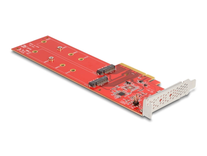 Delock PCI Express x8 Card to 2 x internal NVMe M.2 Key M 110 mm - Bifurcation - Low Profile Form Factor - delock.israel