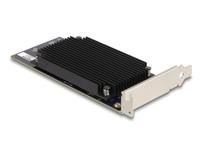 Delock PCI Express x8 Hailo-8™ AI Processor x2 AI-Accelerator - delock.israel