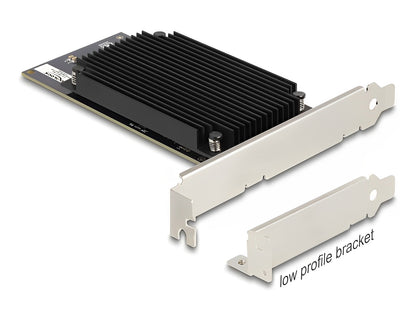 Delock PCI Express x8 Hailo-8™ AI Processor x2 AI-Accelerator - delock.israel