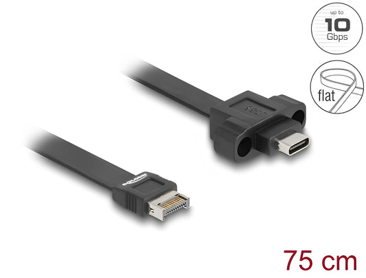 Delock USB 10 Gbps Flat Cable Type-E Key A 20 pin male to USB Type-C™ female panel-mount 75 cm - delock.israel