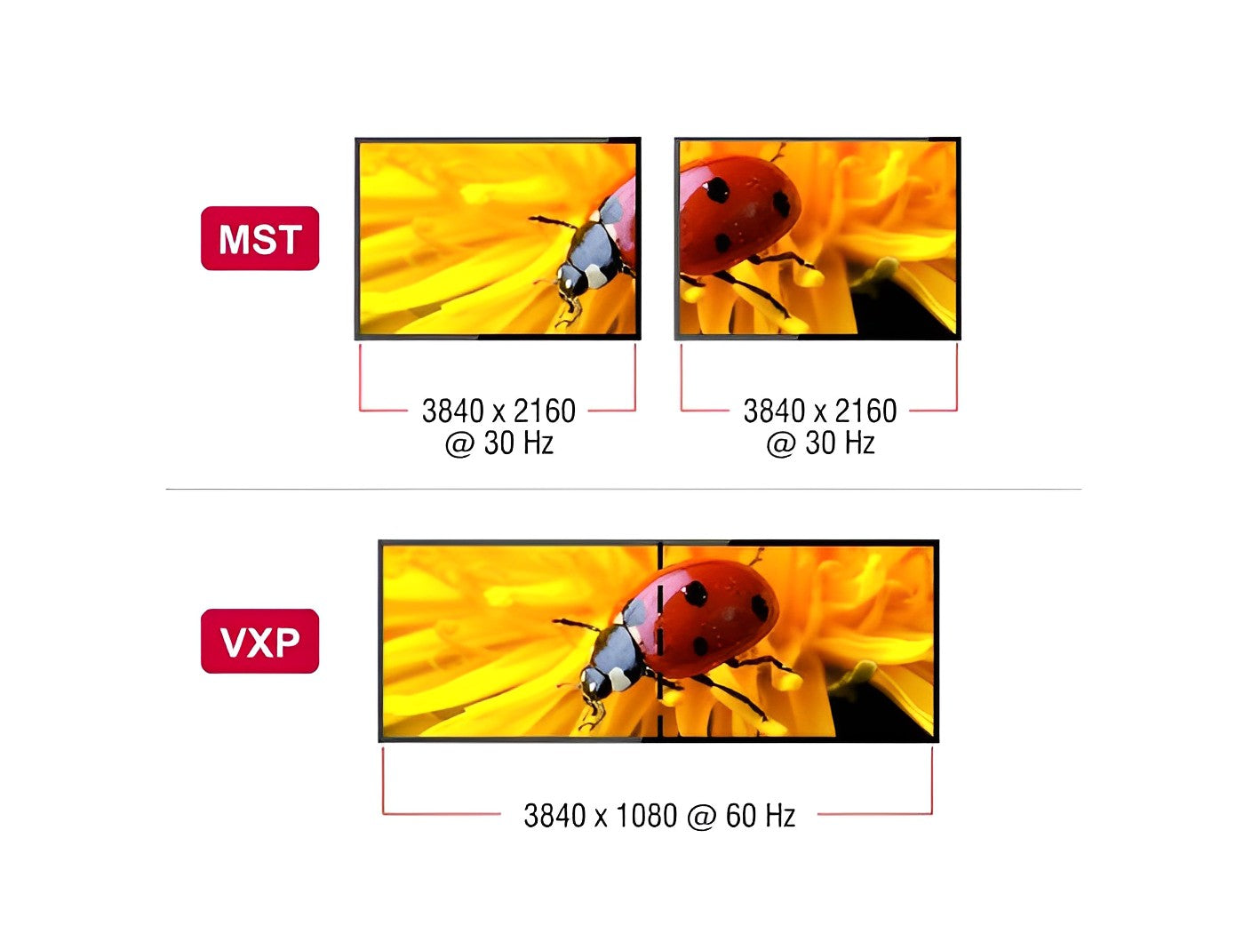 ספליטר USB-C 4K ל- 2 מסכים HDMI MST/ VXP תומך HDR - delock.israel