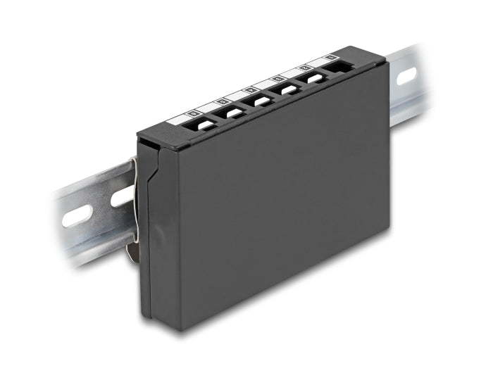 פאץ' פאנל ריק מבית Delock גרמניה מתאים להתקנת מודולי Keystone RJ45 בדרך קלה