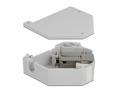 שקע קיסטון מסוכך RJ45 Cat.6A עם מתאם למסילת DIN - delock.israel