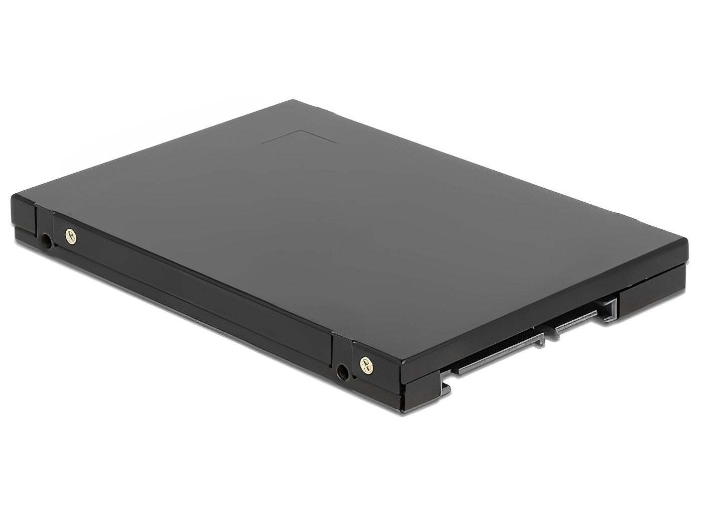מארז SATA 2.5″ עבור 2 כונני M.2 SATA SSD תומך RAID - delock.israel