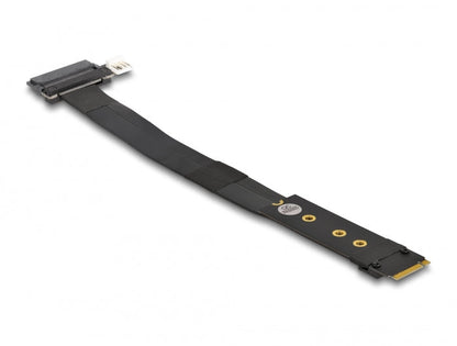 כרטיס הרחבה רייזר מסלוט M.2 NVMe לסלוט U.2 SFF-8639 על כבל 20 ס"מ - delock.israel